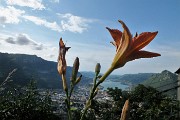 24 Giglio con vista su Lecco